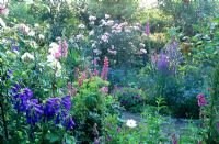 Cottage garden with Rosa, Digitalis, Nigella and Campanula