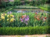 Vegetable garden with Iris