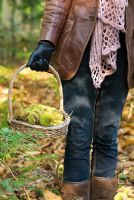 Woman carrying a basket of Castanea sativa -
Sweet chestnuts in Autumn