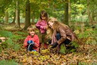 Family in the woods - Foraging for Sweet Chestnuts and collecting them in baskets