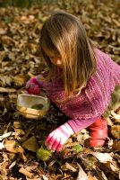 Little girl foraging in the woods for Sweet Chestnuts