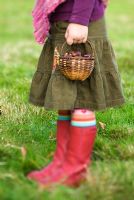 Little girl holding a basket of Sweet Chestnuts 