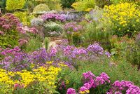 View of the National collection of Autumn flowering Asters - With Asters, Helianthus 'Lemon Queen', Eupatorium and Rudbeckia subtomentosa.
