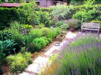 Paved garden pathway with bed of Lavadula 'Hidcote Blue'