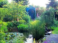 Garden pond with gazebo in backgound