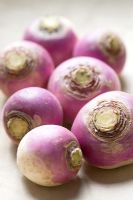 Brassica - Turnips