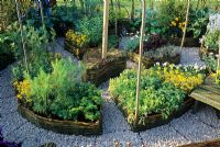 Herb garden showing herbs in raised beds with woven willow edging