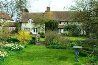 Country garden with seating, lawn, Narcissius, bridge and house in spring - Little Becketts, Essex