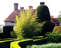 Taxus Topiary beside old house