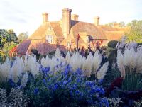 Cortaderia selloana 'Pumila' with Salvia in mixed Autumn border with large house in background