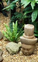 Buddha's head in tropical garden with Fatsia japonica and Asplenium scolopendrium 