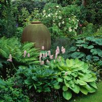 Shade planting - Polygonum bistorta 'Superbum' and Hosta 'Gold Standard'. Ornamental urn by Monica Young at Turn End garden, Bucks