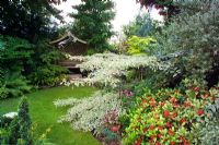 Small town garden with good structure, interesting trees and shrubs - Nailsea, Somerset, UK