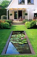 Narrow pond with Nymphaea in garden