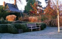 The parterre in winter with clipped box, Betula ermanii and a wooden bench - Pettifers Garden, Oxfordshire