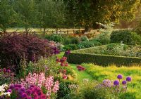 Dawn light on borders and parterre with Allium 'Purple Sensation', Dictamnus, Berberis hedge, Cornus controversa and  Allium 'Mount Everest' - Pettifers Garden, Oxfordshire