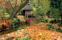 Japanese tea house straddling the River Avon with carpet of fallen leaves from Liquidamber styraciflua 