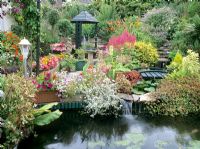 Small garden with pond feature and waterfall - Plants include Astilbe, Eucomis and Houttuynia