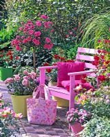 Pink wooden chair on patio with containers of Rosa 'Medley Pink', Rosa 'Leonardo da Vinci', Rosa 'Medley Red', Rosa 'Flammentanz' and Rosa 'Herzogin Frederike'
