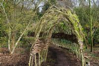 Living Willow archway forming tunnel