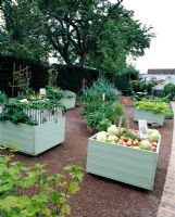 Raised beds with growing and harvested vegetables, garden for children, Maja's garden for children, Sofiero Castle, Sweden 