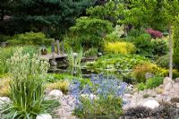 Garden pond with Nymphaea and wooden jetty - Foreground planting of Eryngium x oliverianum and Eryngium agavifolium
