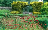 Red bed including Monarda didyma, Achillea 'The Beacon', Centranthus, poppies, Lychnis chalcedonica, Knautia macedonica contained within box 'wall' in flower garden - Herterton House, nr Cambo, Morpeth, Northumberland