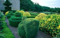 Formal garden including topiary box and yew, variegated ivy and narrow border edged with thyme - Herterton House, nr Cambo, Morpeth, Northumberland