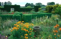 Flower garden including Solidago, Helenium 'Butterpat', Scabious, Geraniums, Alstroemeria aurea 'Dover Orange', with Buxus topiary and Taxus hedging - Herterton House, nr Cambo, Morpeth, Northumberland
