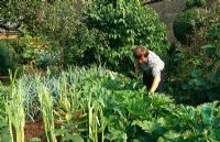 Fergus Dowding in the vegetable patch - Yews Farm, Martock, Somerset