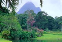 Tropical garden - Fazenda Marambaia, Petropolis, Brazil