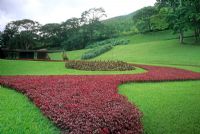 Low, contrasting colour beds in tropical garden - Petropolis, Brazil