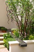 A water rill leading from a water feature and pool in a courtyard surrounded by planting of Prunus serrula, box hedges and mixed perennials including Persicaria, Iris, Aquilegia and Alchemilla - Garden - A Welcome Sight Garden, Design - Adam Frost - Best Urban Garden Gold Medal Winner