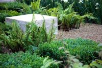 Dryopteris wallichiana, Buxus sempervirens and Iris sibirica 'Alba'. Garden - The Reflective Garden, Design - Clare Agnew Design, Sponsor - Ruffer LLP 