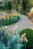 Garden with borders of perennials and winding gravel path. Iris, Artemisia, Verbascum, Papaver rhoeas, Buxus at The Largest Room in the House Garden - Chelsea Flower Show 2008, Sponsors - GMI Property Company, The Royal British Legion, Toc H 