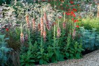 Garden border with Verbascum 'Helen Johnson', Anthriscus sylvestris 'Ravenswing', Papaver rhoeas,Artemisia, and winding gravel path at The Largest Room in The House, Sponsor Sponsors - GMI Property Company, The Royal British Legion, Toc H at RHS Chelsea Flower Show