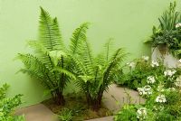 Courtyard garden with ferns, moss and primula. Garden - Foreign and Colonial's Tempest in a Teapot, Design - Thomas Hoblyn, Sponsor - F and C Investment Trust, Gold Medal Winners