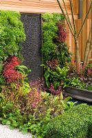 Living green wall with planting including ferns and Heuchera beside a vertical basalt water wall and plunge pool in The Children's Society Garden, Designed by Mark Gregory, Sponsor - The Co-operative, Chelsea Flower Show 2008
