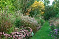 Early Autumn borders with grasses and perennials including Sedum and Miscanthus
