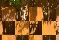 Betula trees growing through a wall created from alternating corten steel boxes