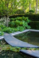 A slate path and an arc of Nymphea alba in a pool of water contained with Purbeck stone bands and slate mulch lead to planting of perennials, shrubs and Gunnera - Garden - The Daily Telegraph Garden, Design - Arabella Lennox-Boyd, Sponsor - The Daily Telegraph, Gold medal winner