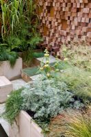 Raised beds and wooden block wall with water spouts. Plants include Artemisia 'Powis Castle', Phlomis russeliana, Cyperus papyrus and Miscanthus - The Pemberton Greenish Recess Garden, Design - Paul Hensey