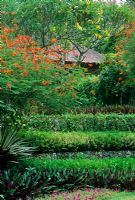 Tropical garden at The Hyatt Hotel, Bali