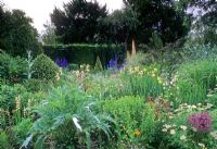 Border with Cynara, Buxus, Allium, Delphinium, Eremurus, Crambe, Achillea,  Penstemon and Iris - Docwra's Manor Shepreth Cambridgeshire