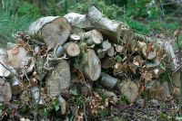 Habitat wood pile