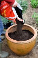 Planting mixed herb pot - filling with loam based compost