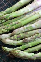 Asparagus spears - closeup