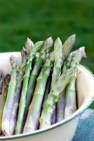 Homegrown Asparagus spears in enamel bowl