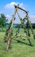 Childrens swings with climbing plants
