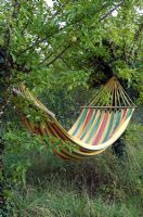 Striped hammock hung between two mature apple trees -  Harvey's Garden Plants, Thurston, Suffolk